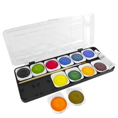 
          Акварель Yalong меловая 12 цвета+1 белая акриловая, с кистью, пластик. упаковка, "Рио"