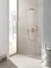 Душ верхний с кронштейном Grohe Rainshower 26066DL0