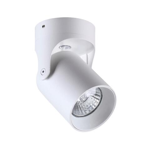 Потолочный светильник Odeon Light Corsus 3854/1C