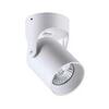 Потолочный светильник Odeon Light Corsus 3854/1C