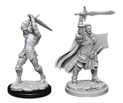 D&D Nolzur's Marvelous Miniatures - Male Human Paladin
