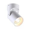 Потолочный светильник Odeon Light Corsus 3854/1C