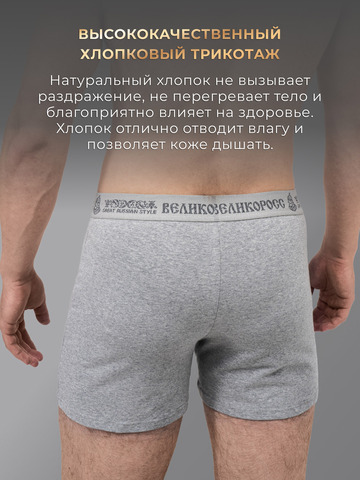 Комплект из 3-х семейных трусов - «Серый меланж»