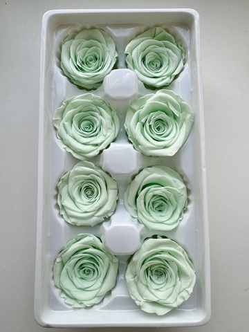 Роза 4-5 см Светлая мята (половина коробки-4шт)