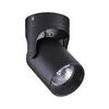 Потолочный светильник Odeon Light Corsus 3855/1C