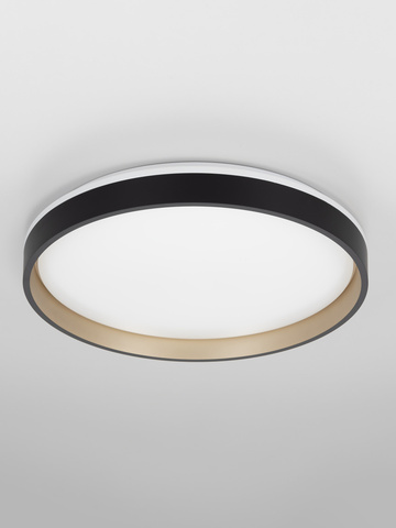 Потолочный светодиодный светильник Citilux Enzo CL753451G