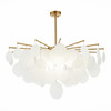 Люстра потолочная ST Luce Vittoria SL1231.302.08