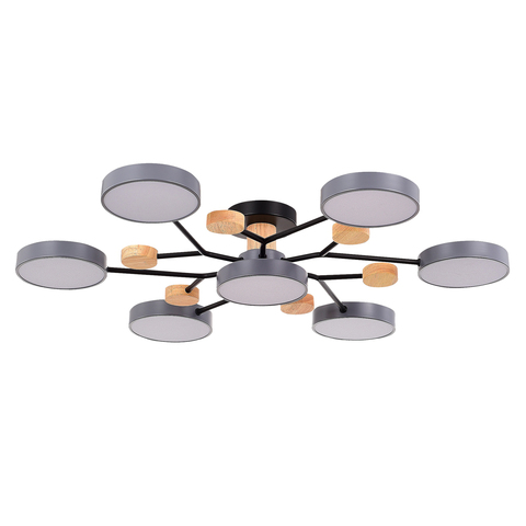 Светильник потолочный Evoluce Faema SLE6006-702-07