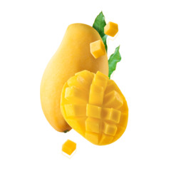 STARLINE - Mango (250g)