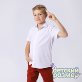 Рубашка на кнопках / 04109