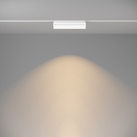 Магнитный трековый светильник Maytoni BASIS TR013-2-20W3K-W