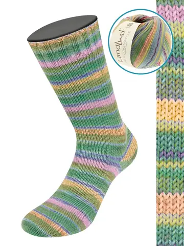 Пряжа Lana Grossa Meilenweit Landlust die Sockenwolle VII 423