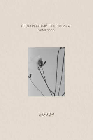 Подарочный сертификат на 3,000 рублей