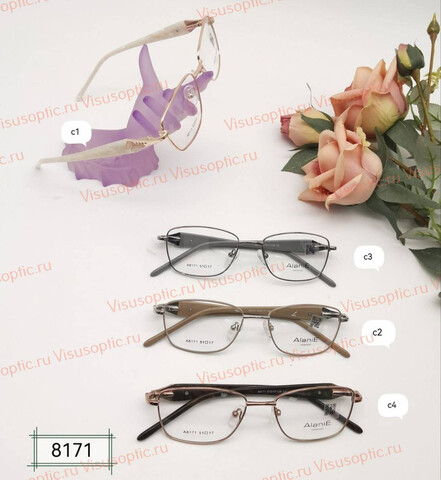 Оправа очков Alanie A8171 Алания