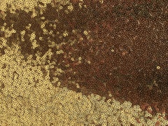 Пайетки на сетке 