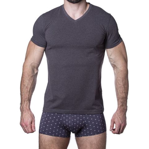 Мужская футболка темно-серая Sergio Dallini SDT751-3