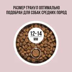 BOWL WOW сухой корм для собак средних пород индейка, рис, яблоко 2 кг