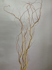 Салекс золотистый 120 см (упак 5 шт)