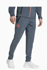 Штаны adidas FC Bayern 25/26 Competition Vis Tech Travel - серый