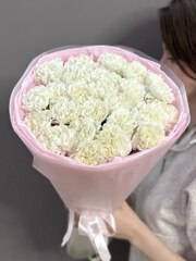 Букет из 25 белых диантусов