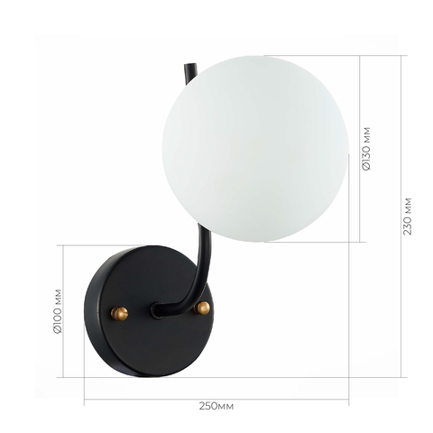 Светильник настенный Evoluce Ciane SLE1098-401-01