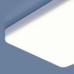 Накладной потолочный светодиодный светильник Elektrostandard DLS043 10W 4200K Белый