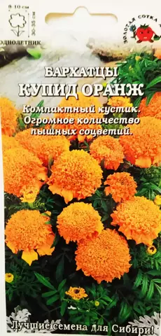 Семена Бархатцы Купид Оранж