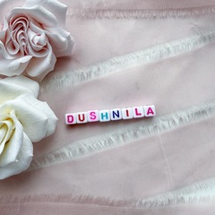 Надпись DUSHNILA