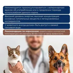 Original Сhoice VET Recovery консервы для собак и кошек восстановительная диета 85 гр