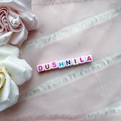 Надпись DUSHNILA