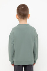 джемпер  для мальчика  КР 302392/полынь