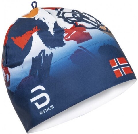 Картинка шапка Bjorn Daehlie Hat Zemsi Norwegian Flag - 1