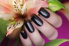 El Corazon 423/ 957 active Bio-gel  Eastern Organza