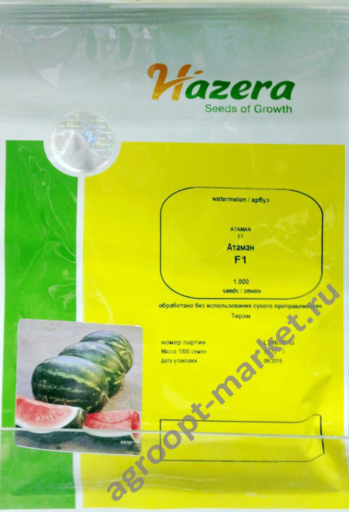 Арбуз Атаман F1 (Hazera) - купить семена из Израиля оптом - АГРООПТ