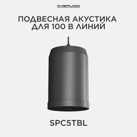CVGAUDIO SPC5TBL Подвесной широкополосный громкоговоритель