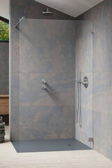 Radaway 10103110-91-01 Essenza Pro Душевая перегородка Brushed Nickel Walk-in 110 фото