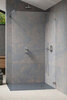 Radaway 10103110-91-01 Essenza Pro Душевая перегородка Brushed Nickel Walk-in 110