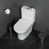 Унитаз моноблок BelBagno Lounge BB8618CPR-MN/SC с сиденьем Микролифт