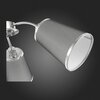 Светильник потолочный Evoluce Maleonte SLE103002-03