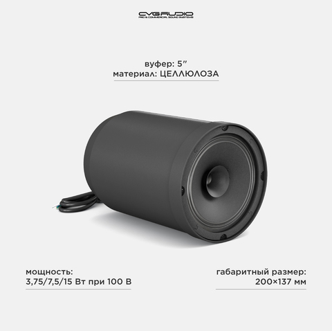 CVGAUDIO SPC5TBL Подвесной широкополосный громкоговоритель