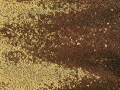 Пайетки на сетке 