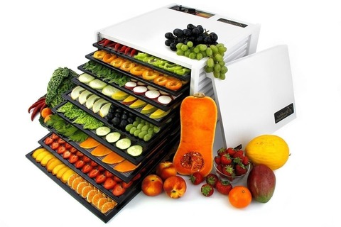 Дегидратор (сушилка) Excalibur Standart 9W белый