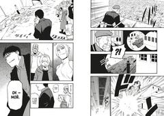 Стальной Алхимик. Книга 16 (Новое издание)
