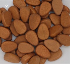 Бусины пришивные дерево, р. 12х18 мм