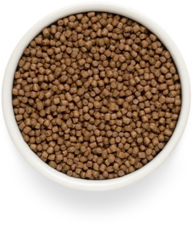 PREMIER Свежее мясо индейки для котят