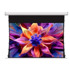 Экран для проектора S'OK SCPSMT-221x125ED30-GR 100 " 16:9 настенно-потолочный, моторизованный с боковым натяжением, серый, ED30 см