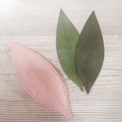 Тюльпан МЛ35