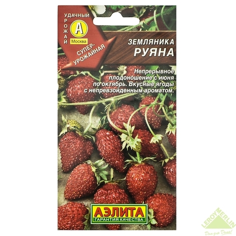 Земляника Руяна альпийская
