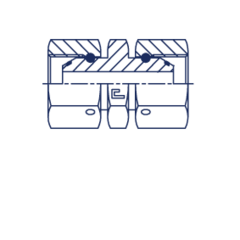 Соединение PSN BSP 2" BSP 2" CAST