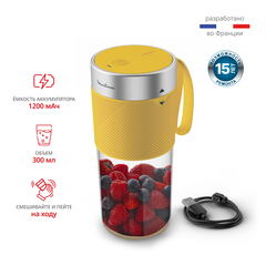 Портативный блендер Moulinex Lightmix LM1C0210